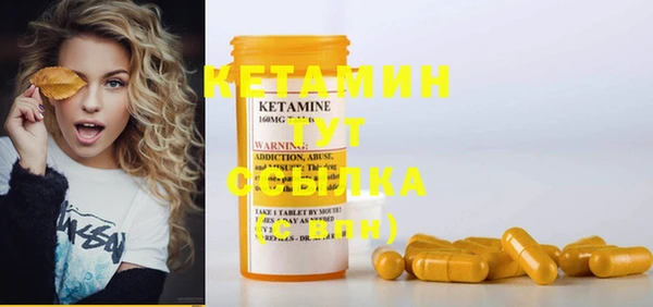 шишки Горняк