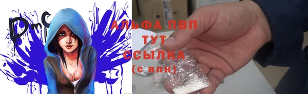гидра Алексеевка