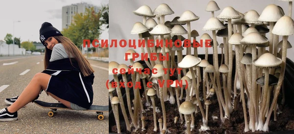 гидра Алексеевка