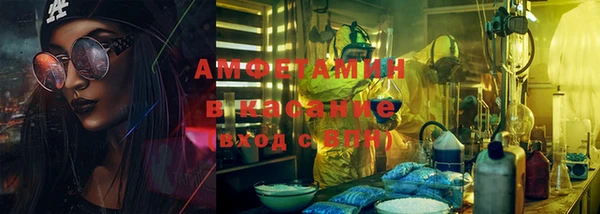 гидра Алексеевка